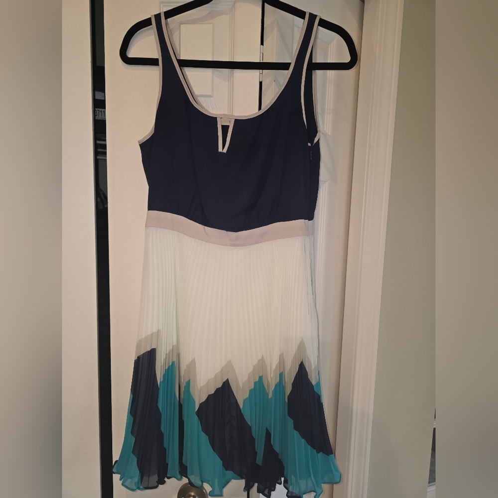 Navy and White Pleated Dress